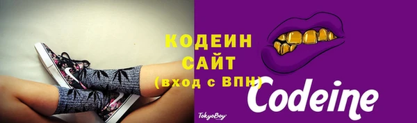 молекула духа Новозыбков