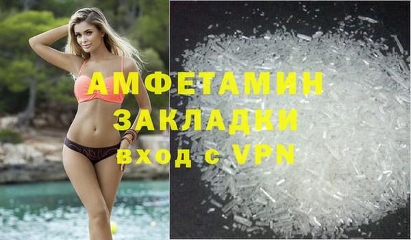 молекула духа Новозыбков