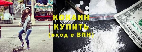 молекула духа Новозыбков