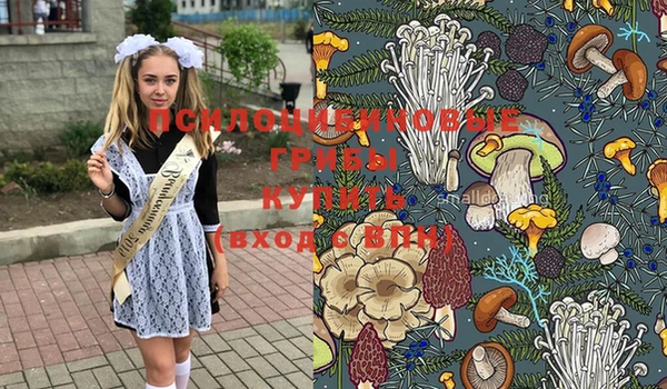 ГАЛЛЮЦИНОГЕННЫЕ ГРИБЫ Каменск-Шахтинский