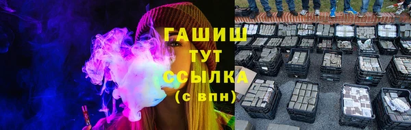 молекула духа Новозыбков
