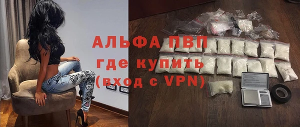 молекула духа Новозыбков