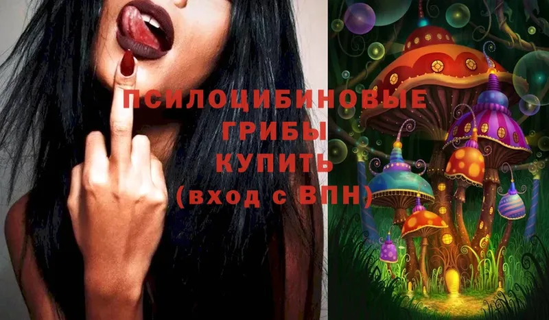 купить закладку  Козьмодемьянск  Псилоцибиновые грибы Psilocybe 