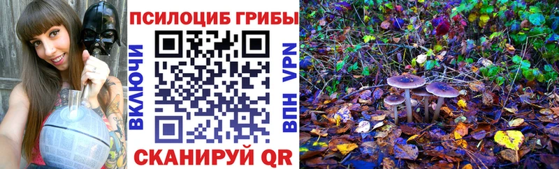 Псилоцибиновые грибы Magic Shrooms  где купить наркоту  Козьмодемьянск 
