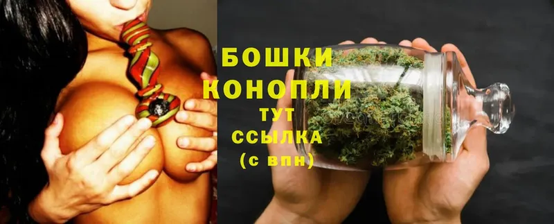 Бошки марихуана White Widow  Козьмодемьянск 